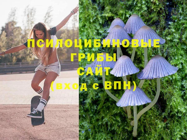 не бодяженный Алзамай